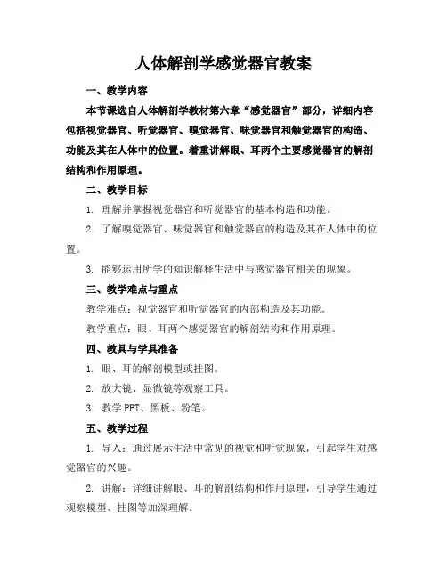 人体解剖学感觉器官教案