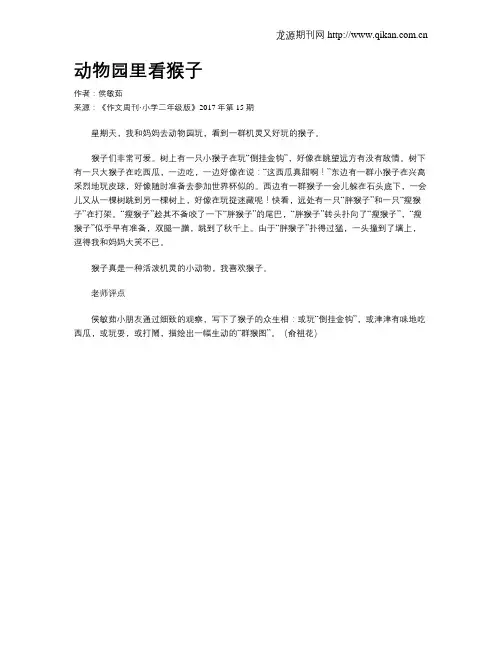 动物园里看猴子