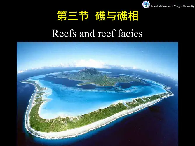 礁与礁相