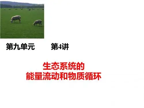 人教版2018届高三一轮复习专题：生态系统的功能课件(共14张PPT)