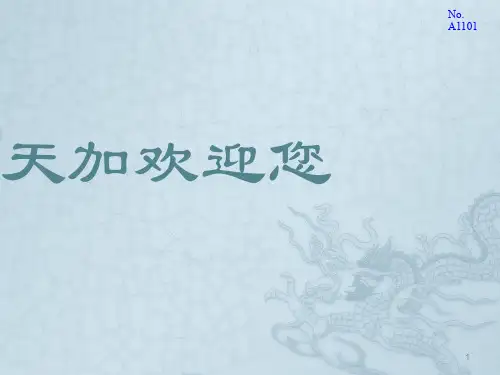 天加空调公司简介ppt课件