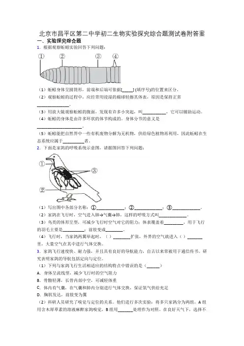 北京市昌平区第二中学初二生物实验探究综合题测试卷附答案