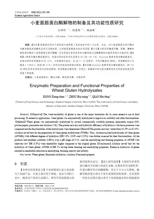 小麦面筋蛋白酶解物的制备及其功能性质研究