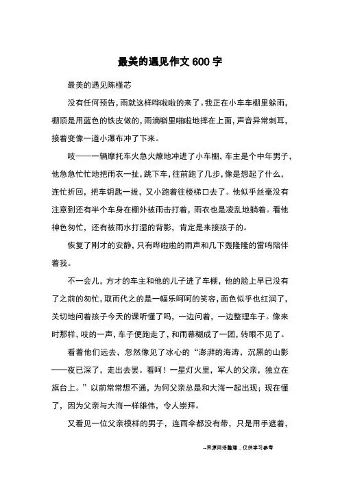 最美的遇见作文600字_优秀作文