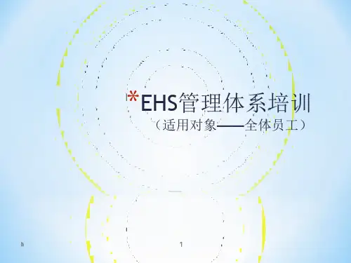 《EHS标准培训》PPT课件