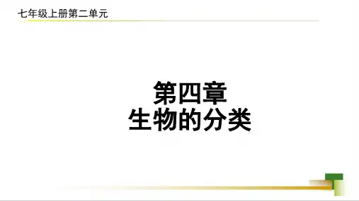 第四章生物的分类课件-2023-2024学年济南版七年级生物上册