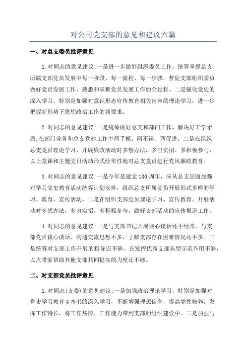 对公司党支部的意见和建议六篇