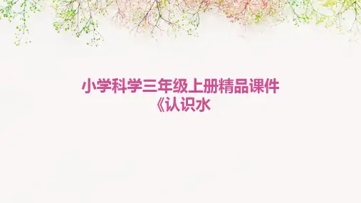 小学科学三年级上册课件《认识水