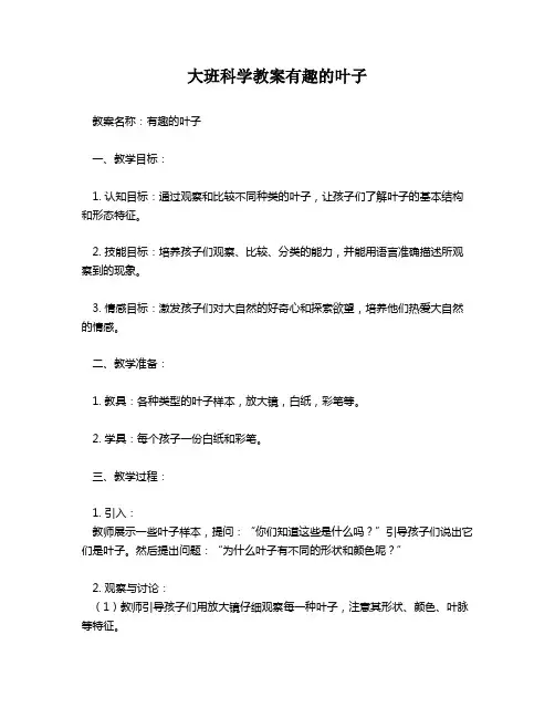 大班科学教案有趣的叶子