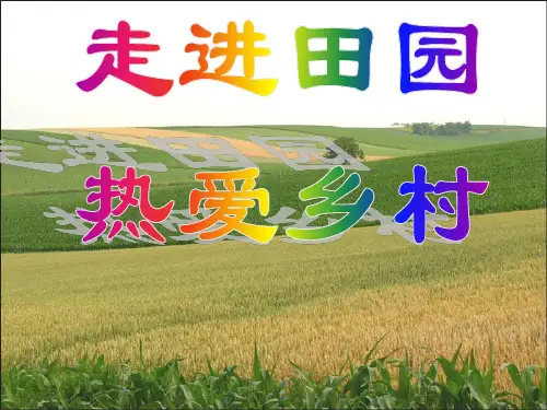 四年级语文下册第六单元作文课件 详细