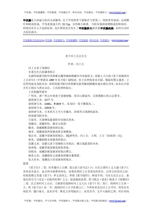 老子河上公注全文