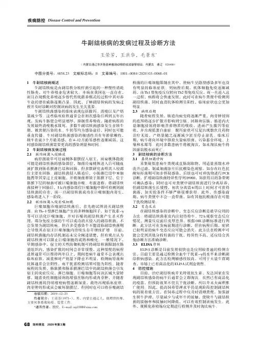 牛副结核病的发病过程及诊断方法
