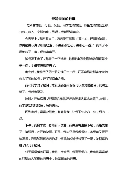 初一作文：爱是最美的行囊作文500字