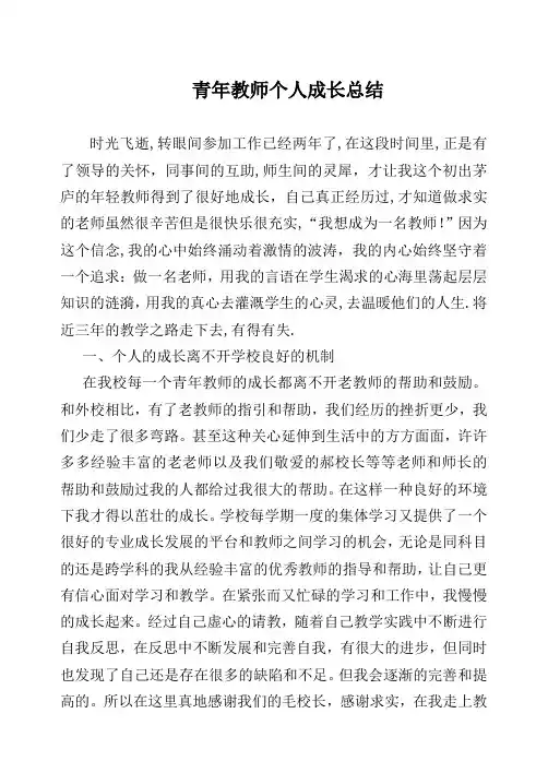 青年教师个人成长总结