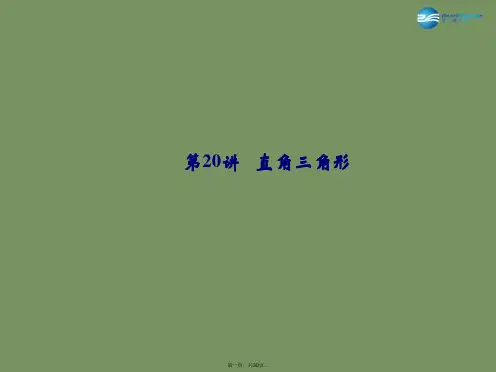 中考数学总复习 第5章 第20讲 直角三角形课件