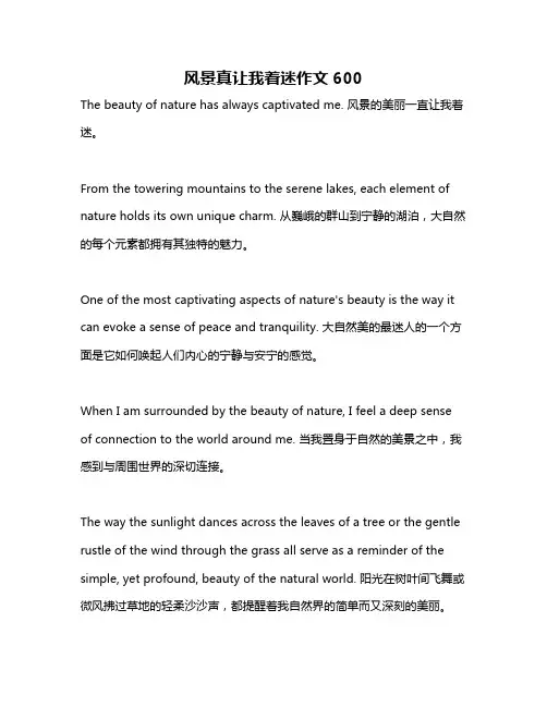 风景真让我着迷作文600