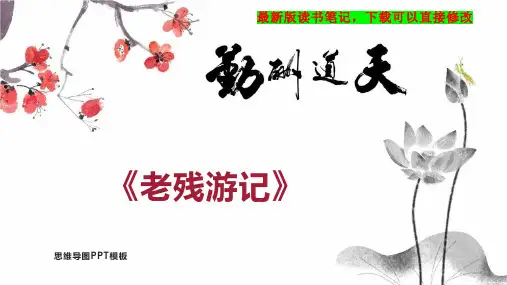 《老残游记》读书笔记思维导图
