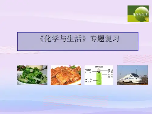 人教版初中化学复习课：《第十二单元 化学与生活》专题复习 课件教学课件