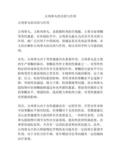 公鸡睾丸的功效与作用