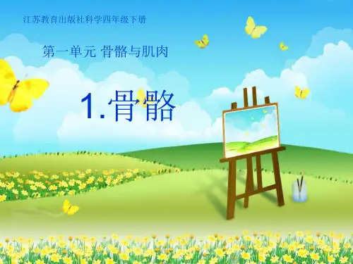 四年级下册科学课件-1.1骨骼 ｜苏教版  (共14张PPT)