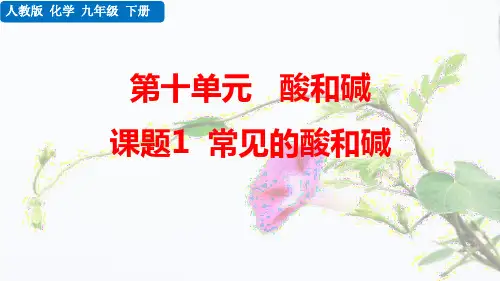 人教版九年级化学下册：课题1 常见的酸和碱