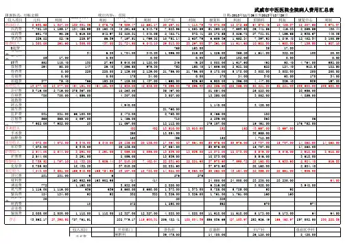 2013年财务报表