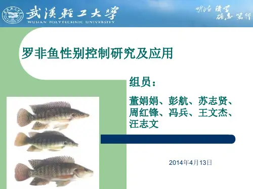水产动物遗传学罗非鱼性别控制研究及应用