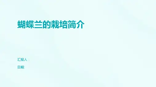 蝴蝶兰的栽培简介