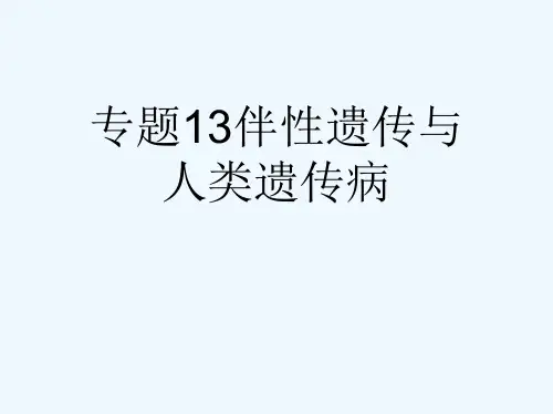 专题13伴性遗传与人类遗传病[可修改版ppt]