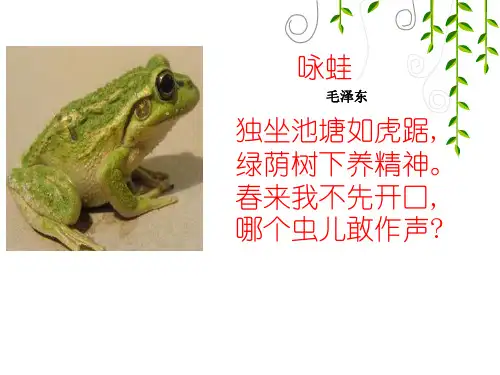 人教版生物八年级下册7.1.3《两栖动物的生殖和发育》课件 (共49张PPT)