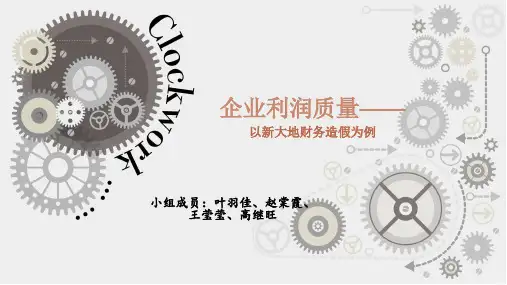 企业利润质量——以新大地财务造假为例