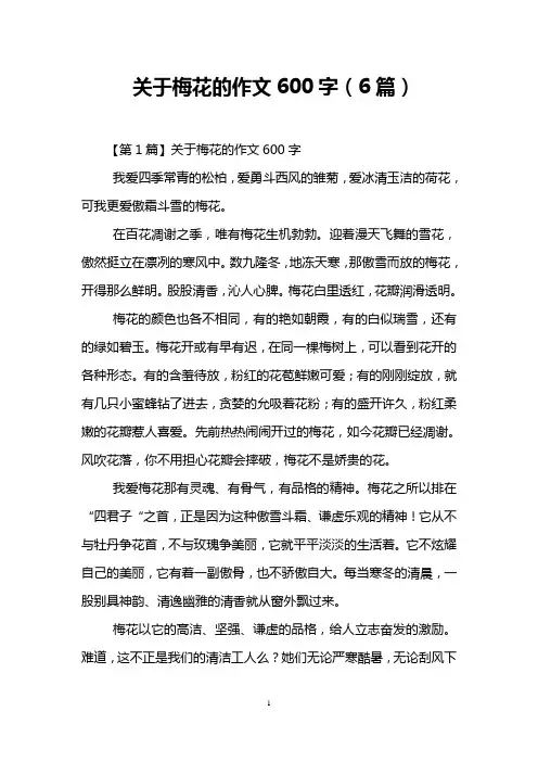 关于梅花的作文600字(6篇)