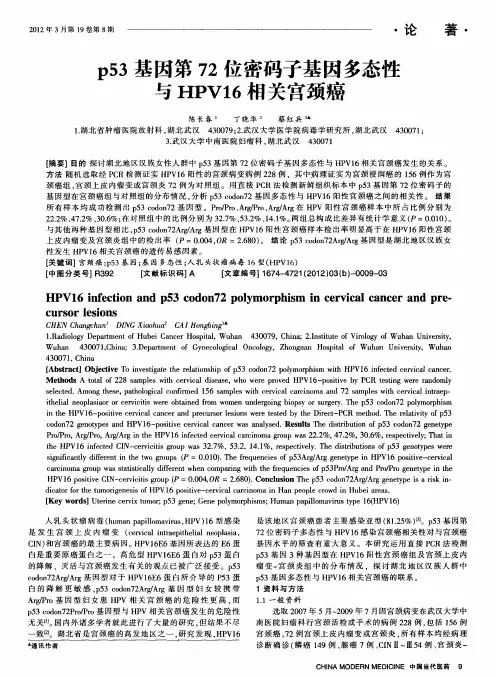 p53基因第72位密码子基因多态性与HPV16相关宫颈癌
