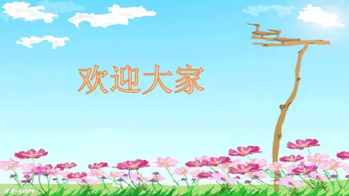 北师大版七年级数学上册3.4整式的加减课件