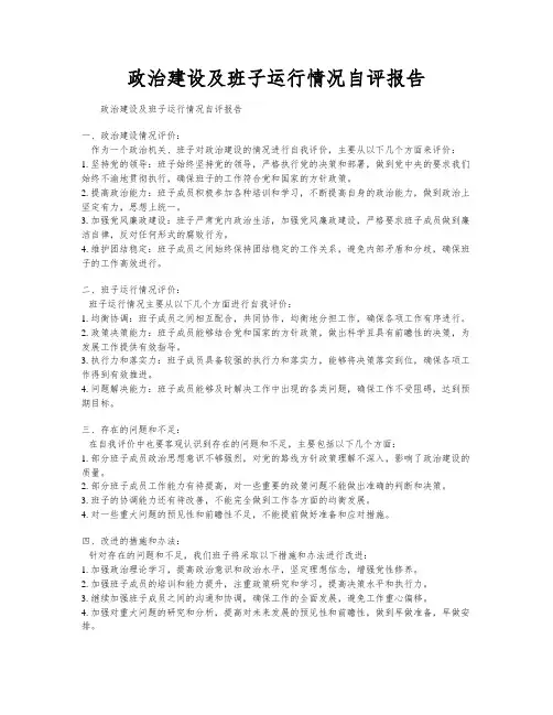 政治建设及班子运行情况自评报告
