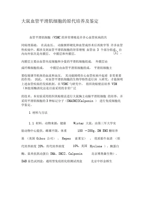大鼠血管平滑肌细胞的原代培养及鉴定-最新年精选文档