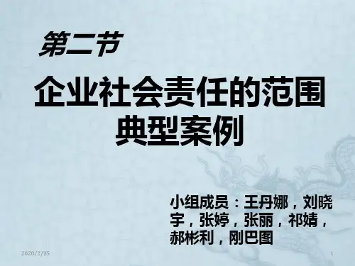 企业社会责任的范围案例PPT课件