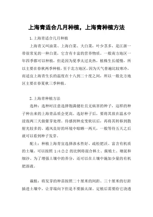 上海青适合几月种植,上海青种植方法