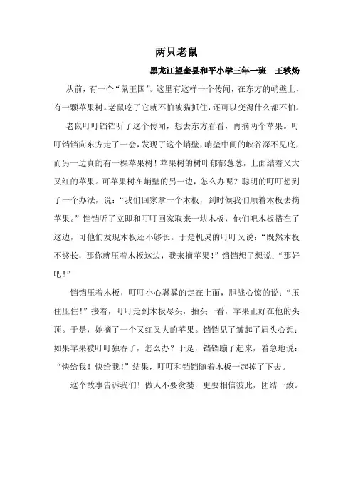 小学作文—两只老鼠