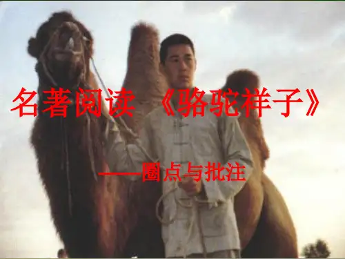 人教部编版语文七年级下名著导读《骆驼祥子》——圈点与批注
