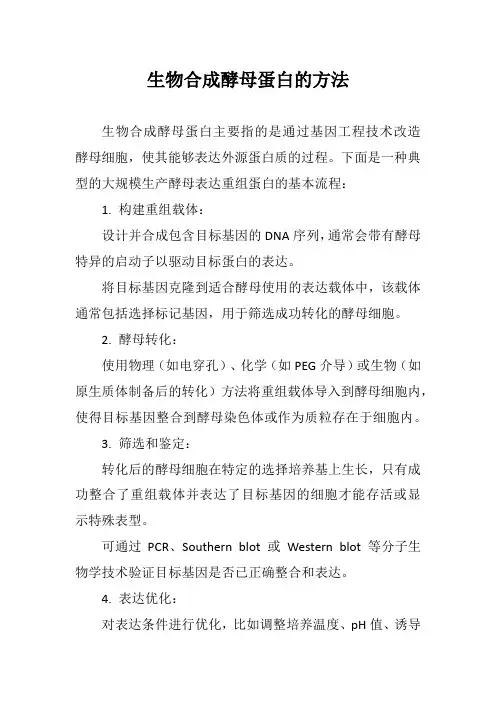 生物合成酵母蛋白的方法