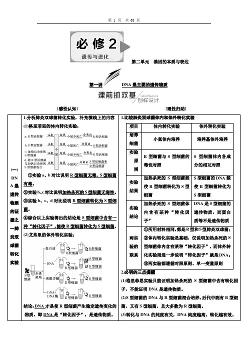 必修2  第二单元 基因的本质与表达