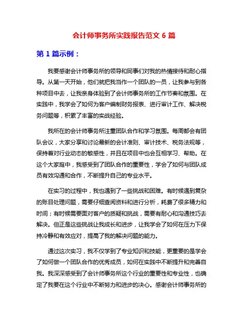 会计师事务所实践报告范文6篇