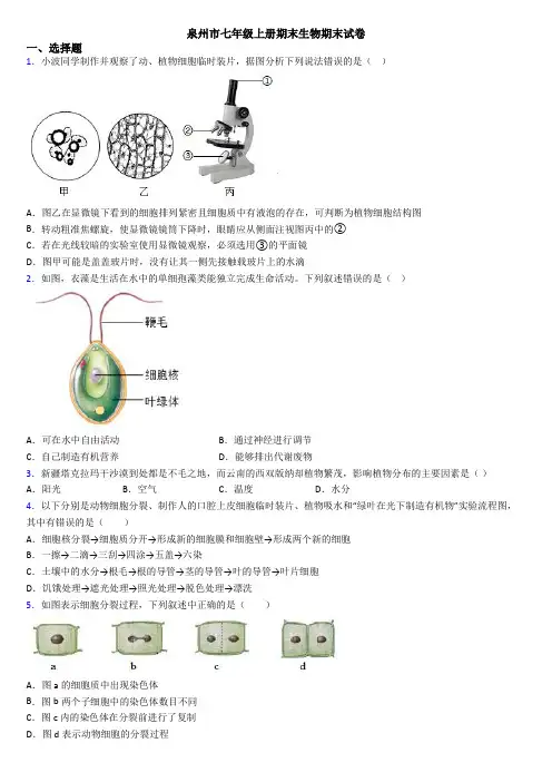 泉州市七年级上册期末生物期末试卷