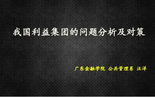我国利益集团的问题分析与对策