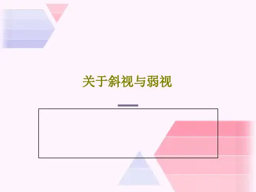 关于斜视与弱视PPT30页