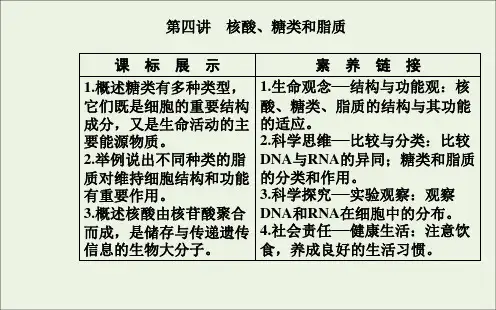 2021届高考生物一轮复习第一单元细胞及其分子组成第四讲核酸、糖类和脂质课件新人教版