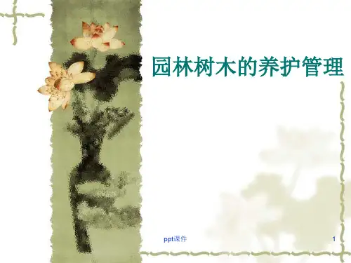 园林树木的养护管理  ppt课件