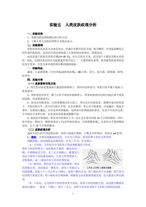 实验05 人类皮肤纹理分析