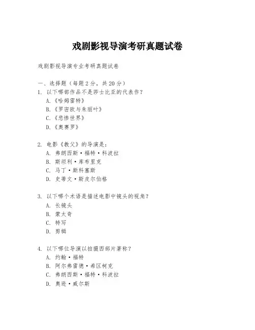 戏剧影视导演考研真题试卷